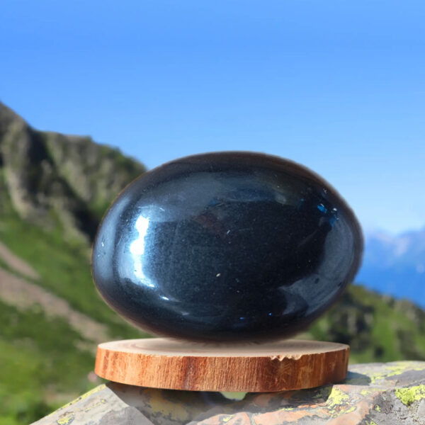 Shaligram Black & White